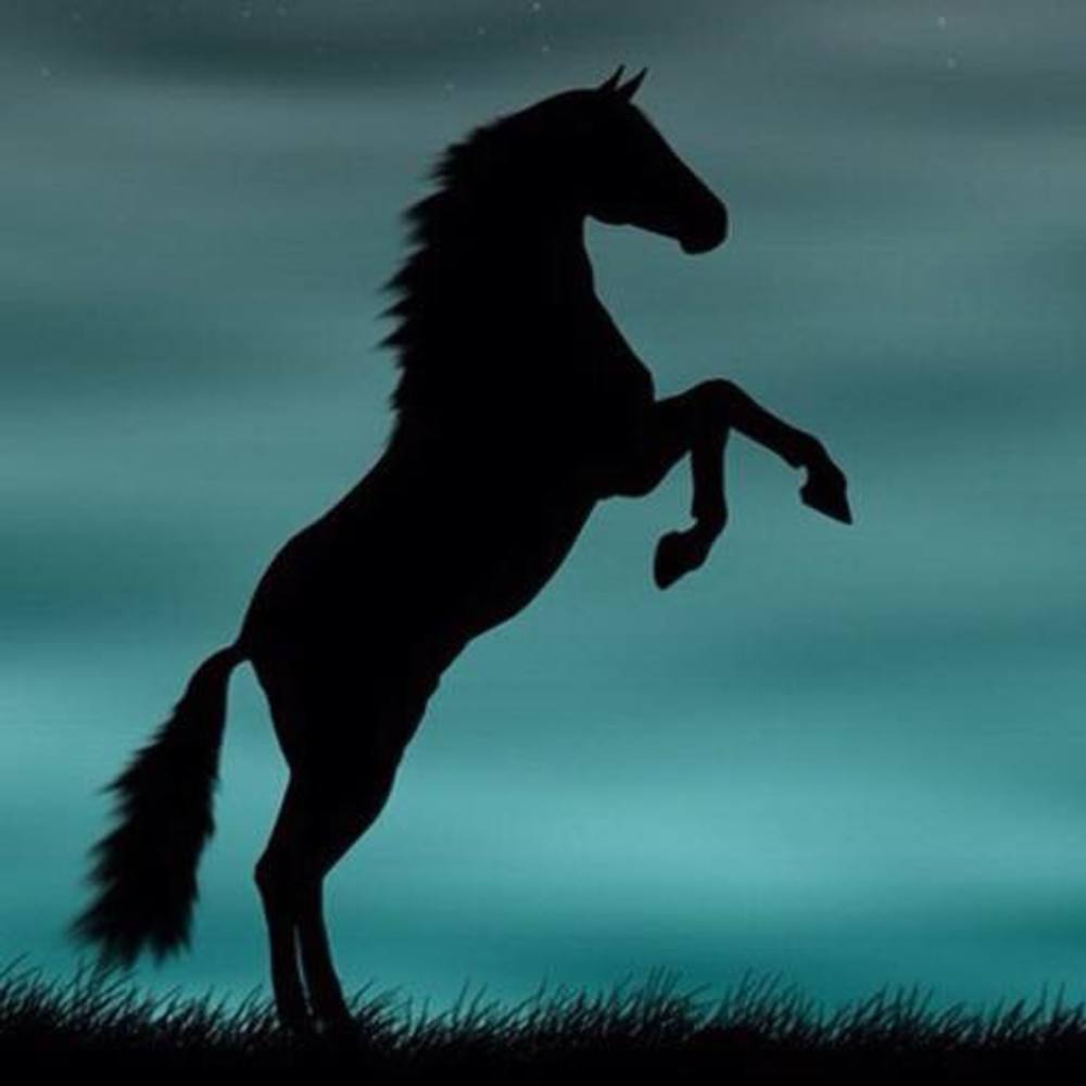 Meet your Posher, Yari